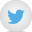 Share on Twitter twitter